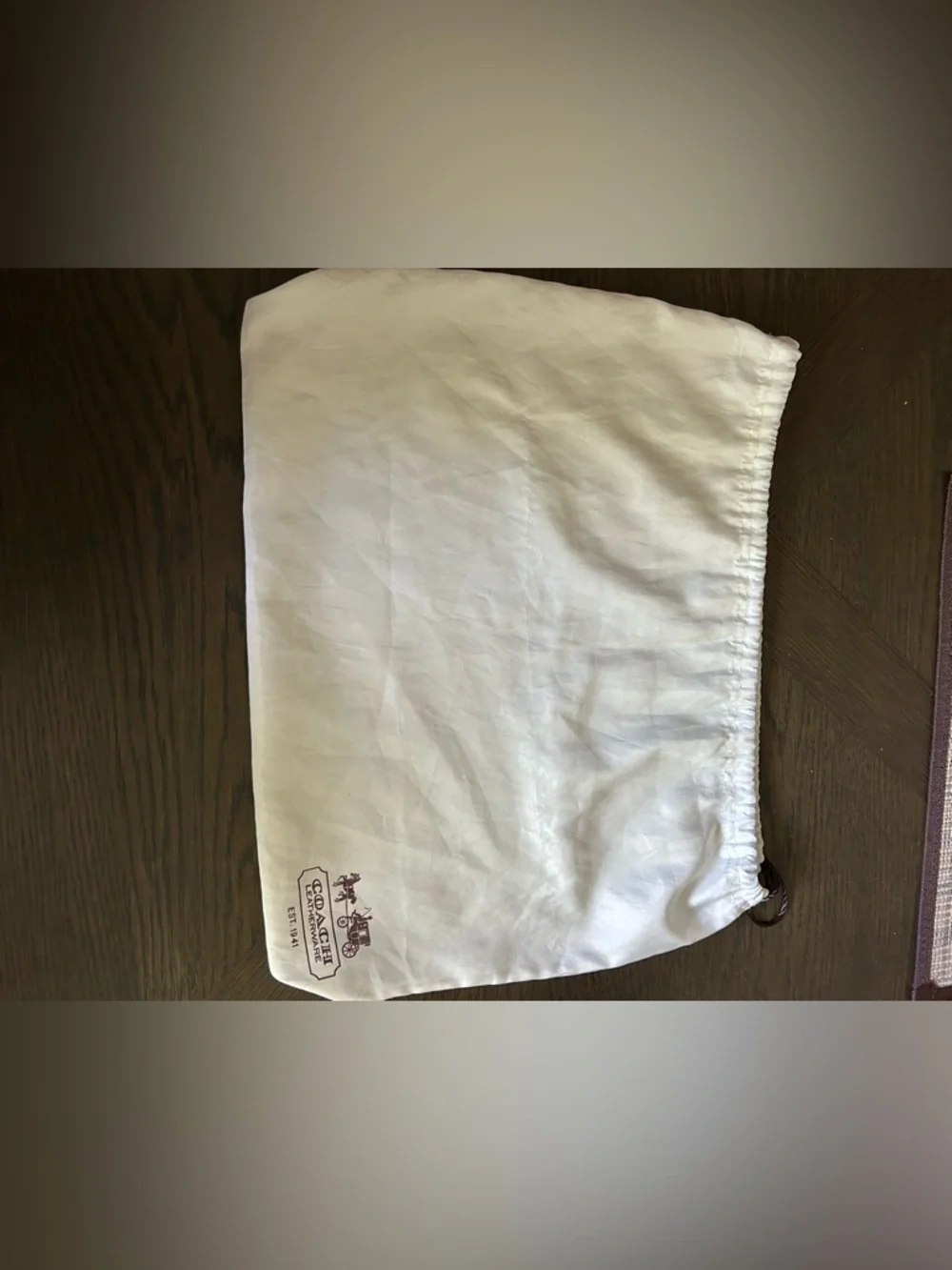 Coach White Drawstring Satin Dustbag 20x15